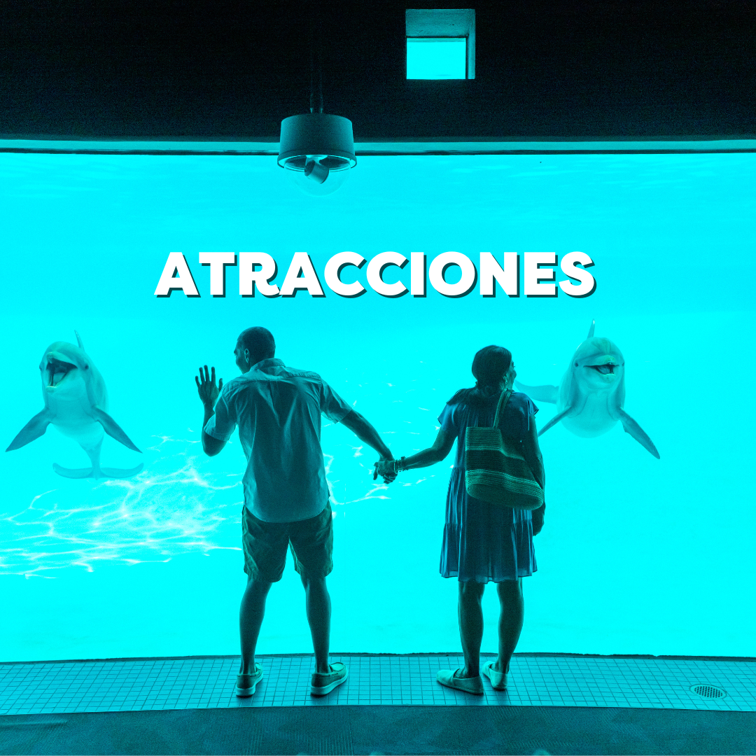 Attraction prompt with a couple looking at the dolphin at the Texas State Aquarium