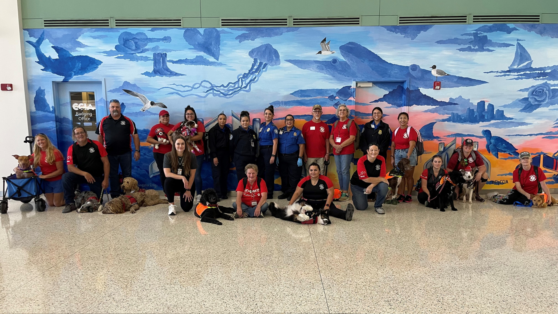 photo of GOTEAM dogs and trainers, alongside TSA officers